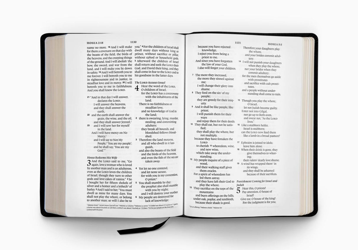 ESV Large Print Wide Margin Bible (Genuine Leather, Black)
