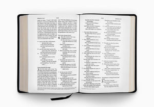 ESV Large Print Wide Margin Bible (Genuine Leather, Black)