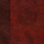 ESV Study Bible (Trutone, Burgundy/Red, Timeless Design, Indexed) - English Standard Version - 9781433571848