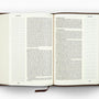 ESV Single Column Journaling Bible, Large Print (Buffalo Leather, Deep Brown)