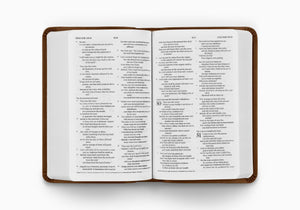 ESV Value Compact Bible (TruTone, Brown) (1023776391215)