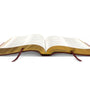 ESV Bible with Creeds and Confessions (Trutone, Burgundy)