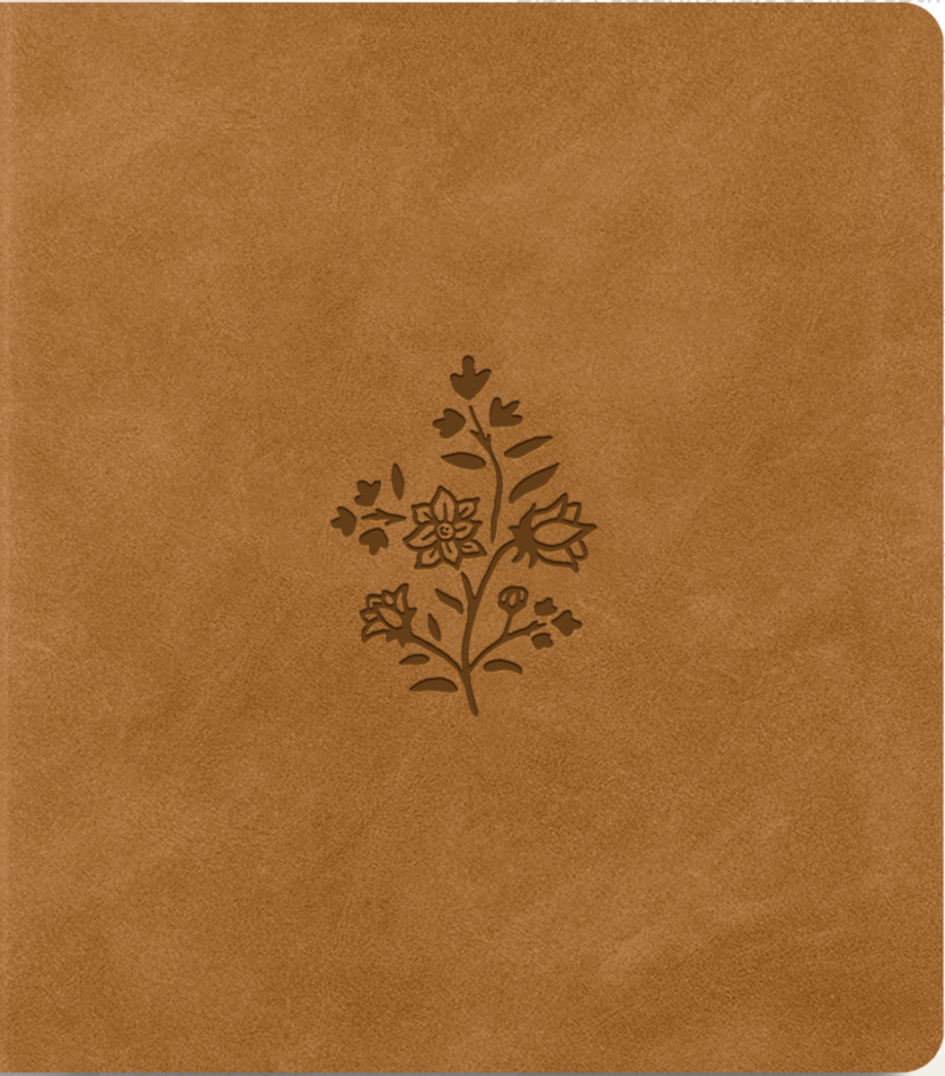 ESV Journaling Study Bible (Trutone Over Board, Nubuck Caramel) - ESV - 9781433592515