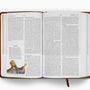 ESV Seek and Find Bible (Trutone, Brown)