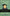 The Bondage of the Will Martin Luther cover image