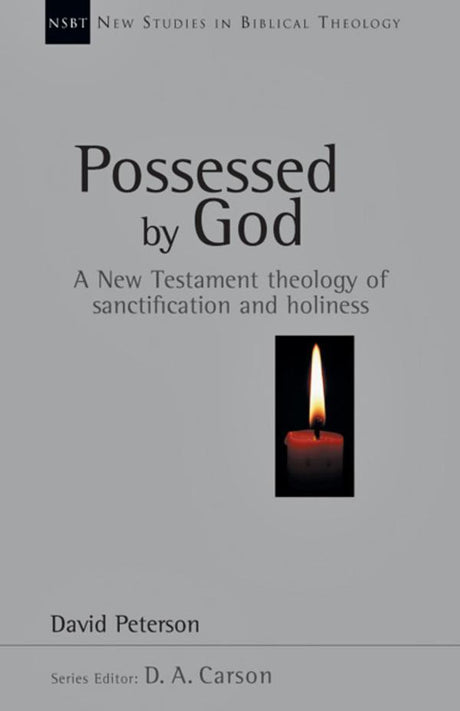 possessed by god david peterson nsbt cover image