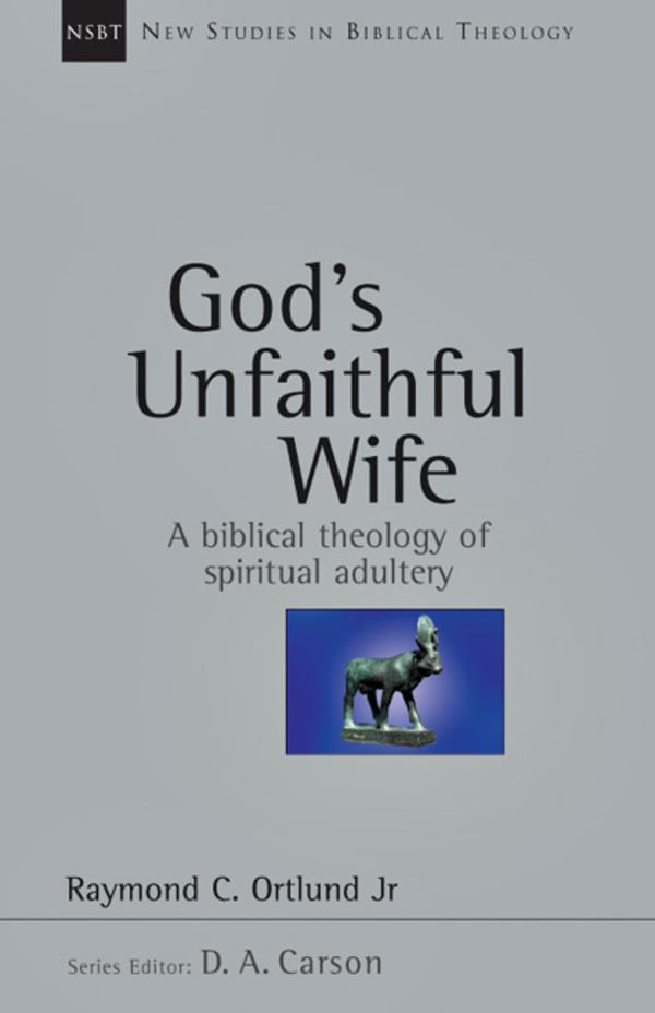 god unfaithful wife nsbt raymond ortlund cover image