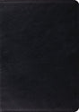 ESV Study Bible (Genuine Leather, Black) cover image (1023686475823)