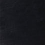 ESV Study Bible (Genuine Leather, Black) cover image (1023686475823)