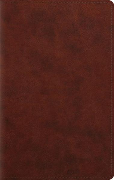 ESV Large Print Personal Size Bible (TruTone, Chestnut) cover image