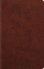ESV Large Print Personal Size Bible (TruTone, Chestnut) cover image