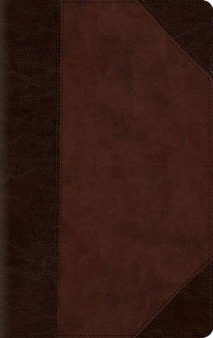 ESV Large Print Compact Bible (TruTone, Brown/Walnut, Portfolio Design) cover image