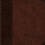 ESV Large Print Compact Bible (TruTone, Brown/Walnut, Portfolio Design) cover image