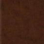ESV Wide Margin Reference Bible (TruTone, Brown) cover image
