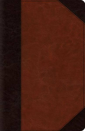 ESV Reference Bible (TruTone, Brown Portfolio Design) cover image