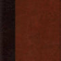 ESV Reference Bible (TruTone, Brown Portfolio Design) cover image