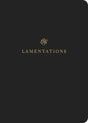 ESV Scripture Journal: Lamentations cover image