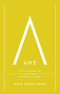 Awe: Why It Matters for Everything We Think, Say, and Do By Paul David Tripp cover image (1023718653999)