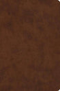 ESV Value Compact Bible (TruTone, Brown) cover image (1023776391215)