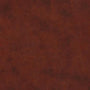 ESV Vest Pocket New Testament with Psalms and Proverbs (TruTone, Chestnut) cover image