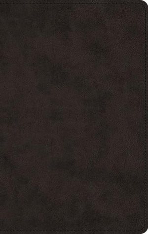 ESV Men's Devotional Bible (TruTone, Black) cover image (1023778783279)