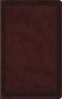 ESV Large Print Value Thinline Bible (TruTone, Mahogany, Border Design) cover image (1023786647599)