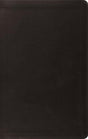 ESV Value Thinline Bible (TruTone, Black) cover image (1023778324527)