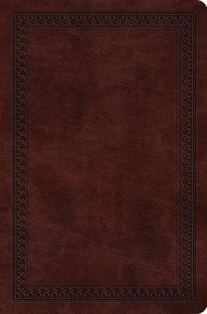 ESV Value Compact Bible (TruTone, Mahogany, Border Design) cover image