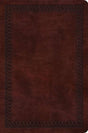 ESV Value Compact Bible (TruTone, Mahogany, Border Design) cover image