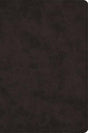 ESV Large Print Bible (TruTone, Black) cover image