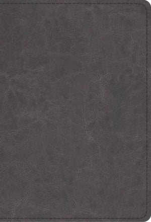ESV Student Study Bible (TruTone, Gray) cover image