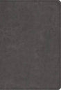 ESV Student Study Bible (TruTone, Gray) cover image