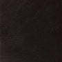 ESV Systematic Theology Study Bible (Genuine Leather, Black) cover image