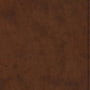ESV Premium Gift Bible (TruTone, Brown) cover image
