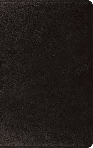 ESV Large Print Thinline Bible (Genuine Leather, Black) cover image (1023795986479)