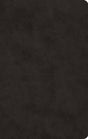ESV Large Print Value Thinline Bible (TruTone, Black) cover image (1023795920943)