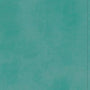 ESV Student Study Bible (TruTone, Turquoise) cover image