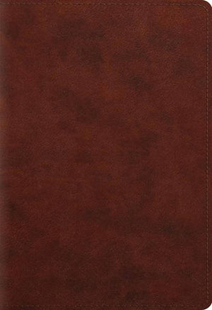 ESV Student Study Bible (TruTone, Chestnut) cover image