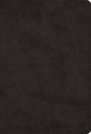 The Greek New Testament, Produced at Tyndale House, Cambridge (TruTone, Black) cover image