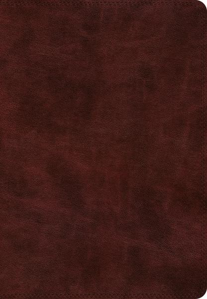 ESV Super Giant Print Bible (TruTone, Burgundy) cover image