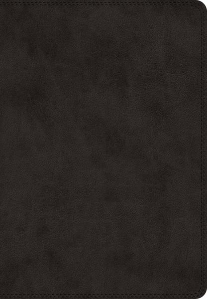 ESV Super Giant Print Bible (TruTone, Black) cover image
