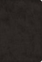 ESV Super Giant Print Bible (TruTone, Black) cover image