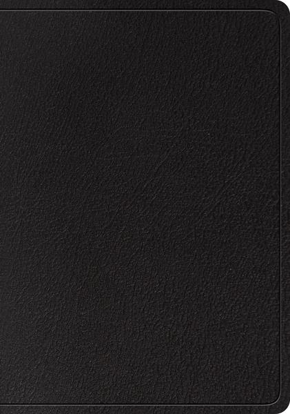 ESV Large Print Wide Margin Bible (Genuine Leather, Black) cover image