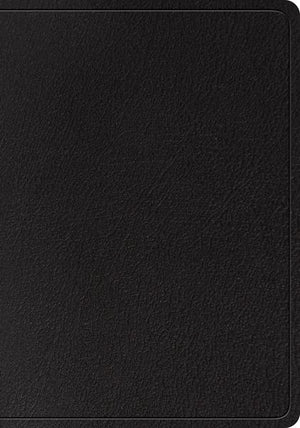 ESV Large Print Wide Margin Bible (Genuine Leather, Black) cover image