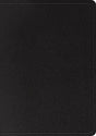 ESV Large Print Wide Margin Bible (Genuine Leather, Black) cover image