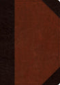 ESV Large Print Wide Margin Bible (TruTone, Brown/Cordovan, Portfolio Design) cover image