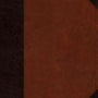 ESV Large Print Wide Margin Bible (TruTone, Brown/Cordovan, Portfolio Design) cover image