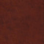 ESV Study Bible (TruTone, Chestnut) cover image