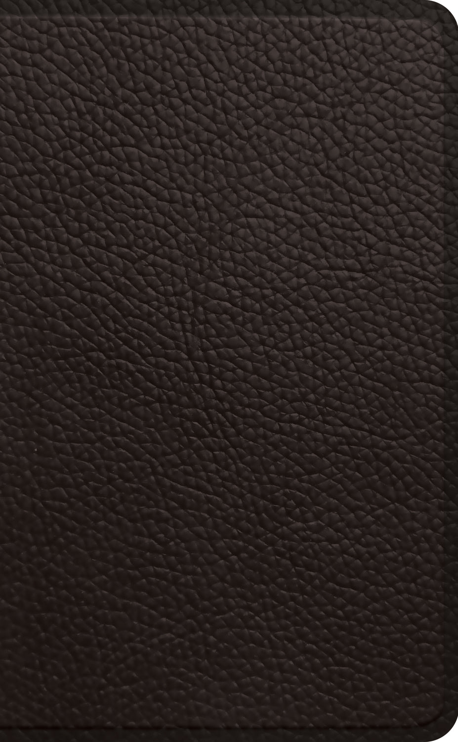 ESV Pocket Bible (Buffalo Leather, Deep Brown)