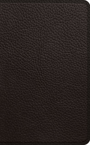 ESV Pocket Bible (Buffalo Leather, Deep Brown)